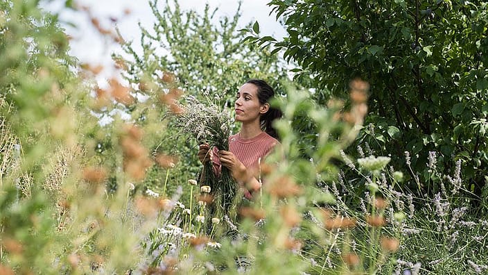 Person in the forest