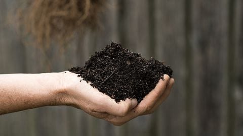 soil in hand