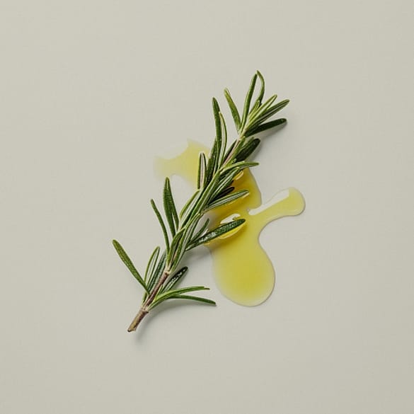 Rosemary branch