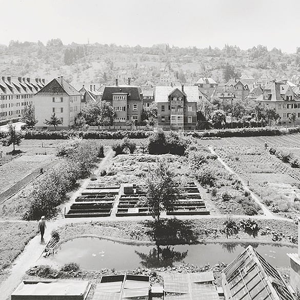 Ancient garden in Germany
