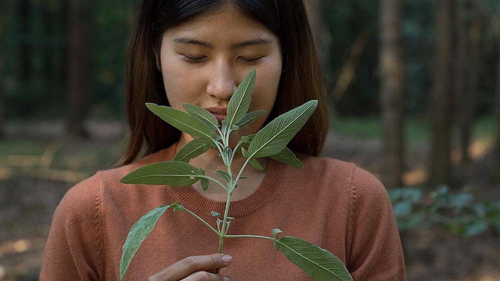 Gilr smellig plants.