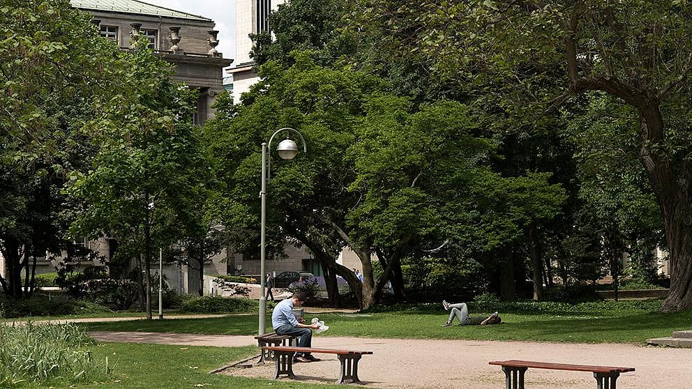 park in city