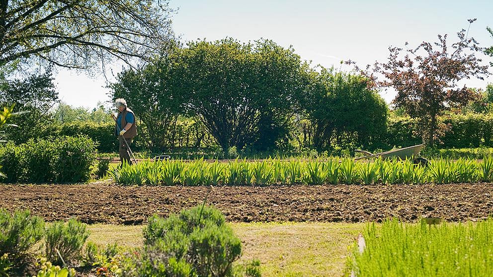 cultivating field