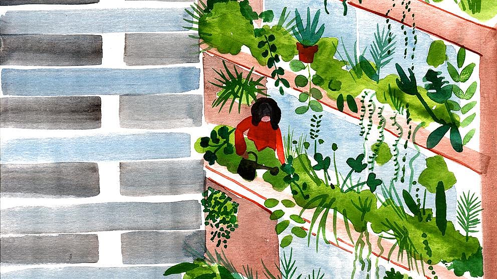 illustrated balcony gardening
