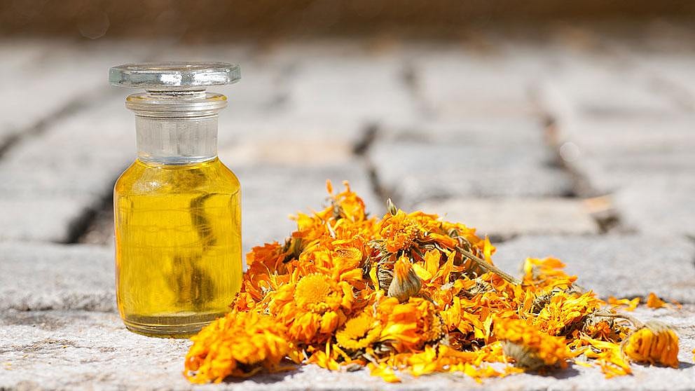 calendula oil and blossoms
