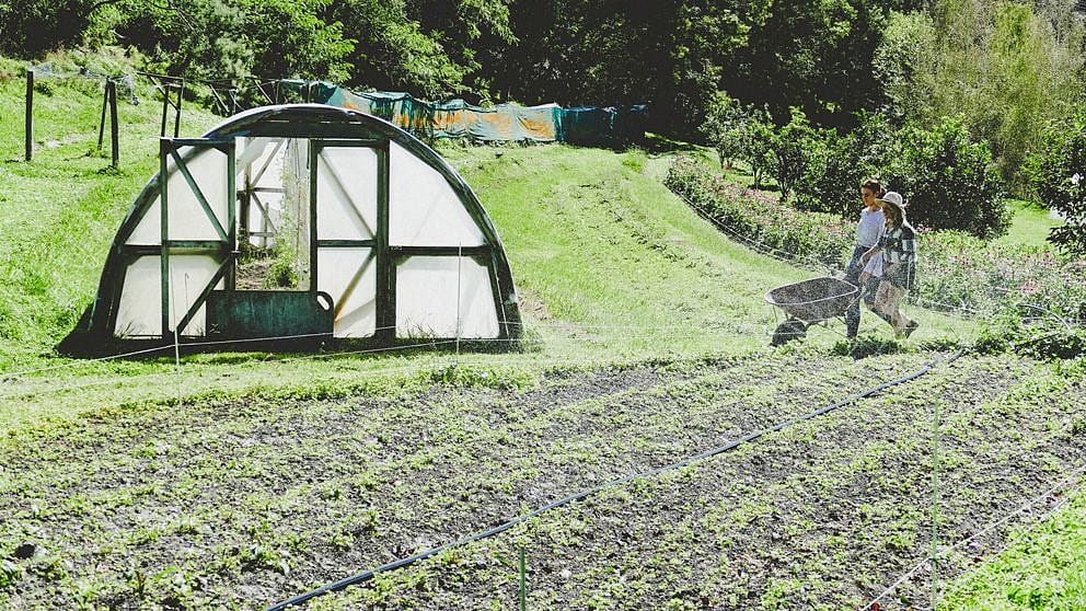 biodynamic garden