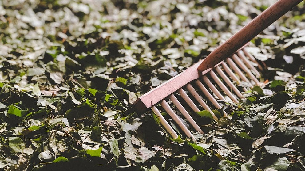 Garden work