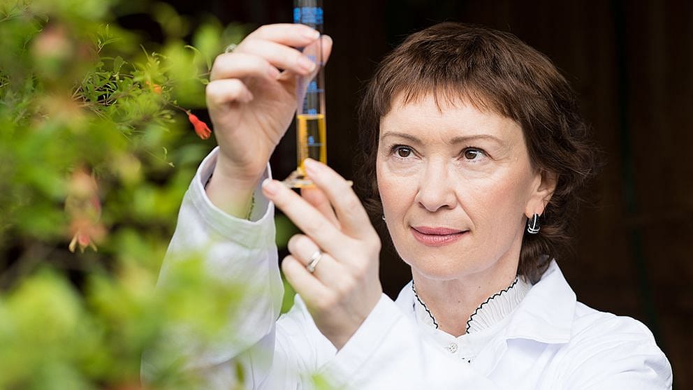 Woman looking at test tube