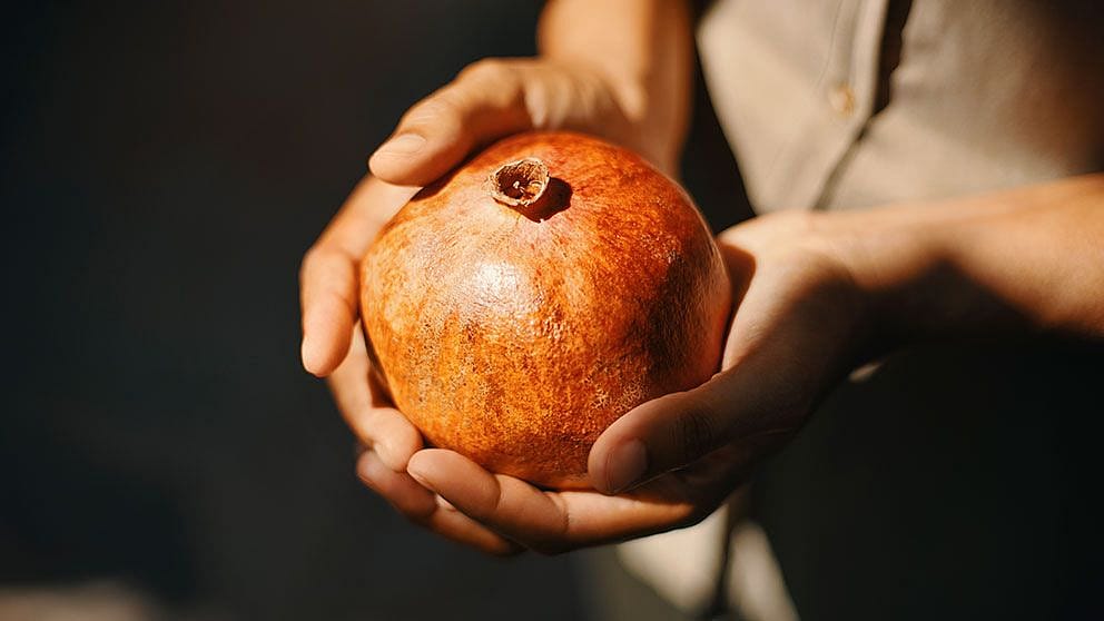 pomegranate fruit
