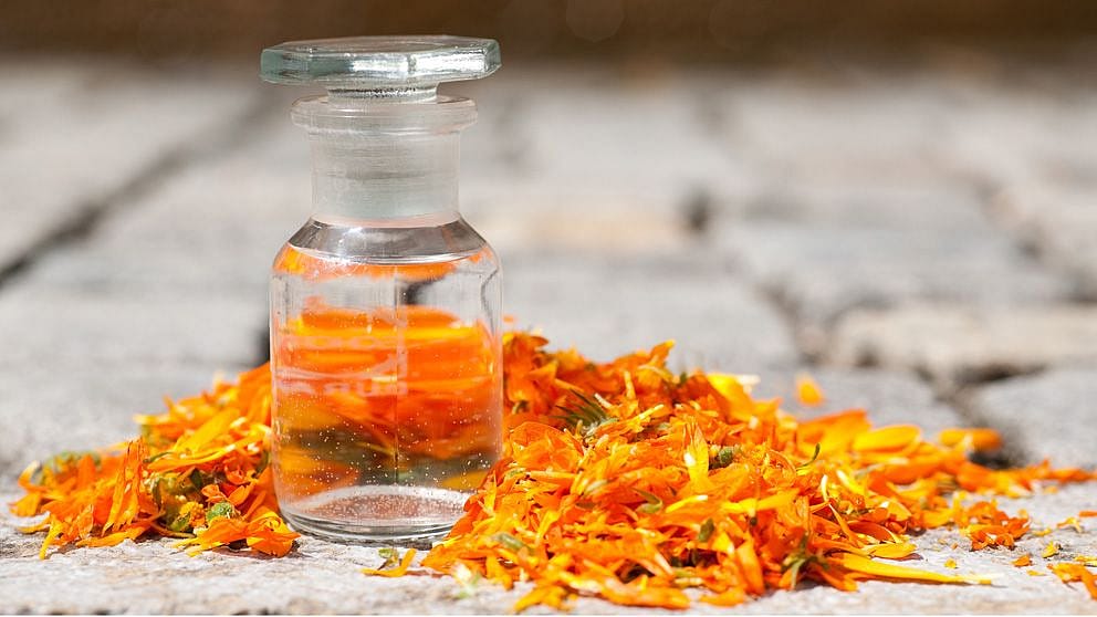 Calendula Alcohol Extract petals next a glass bottle.