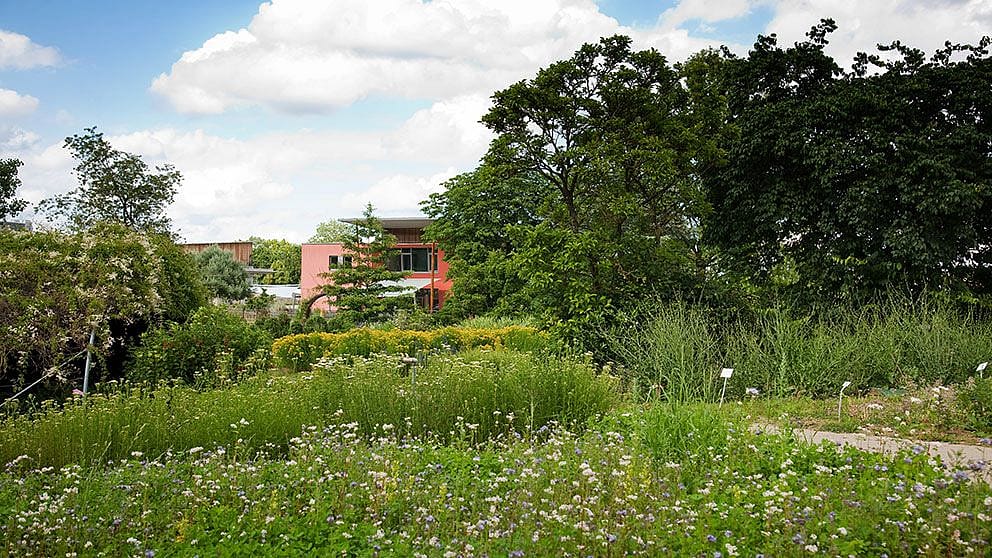 The Weleda garden in Schwäbisch Gmünd, Germany