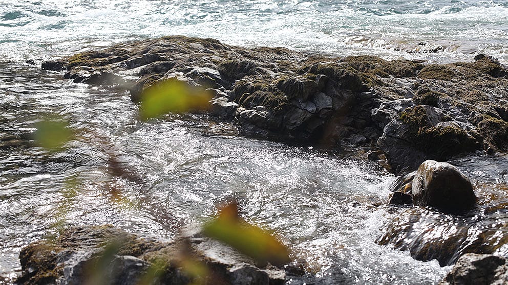 river and rocks
