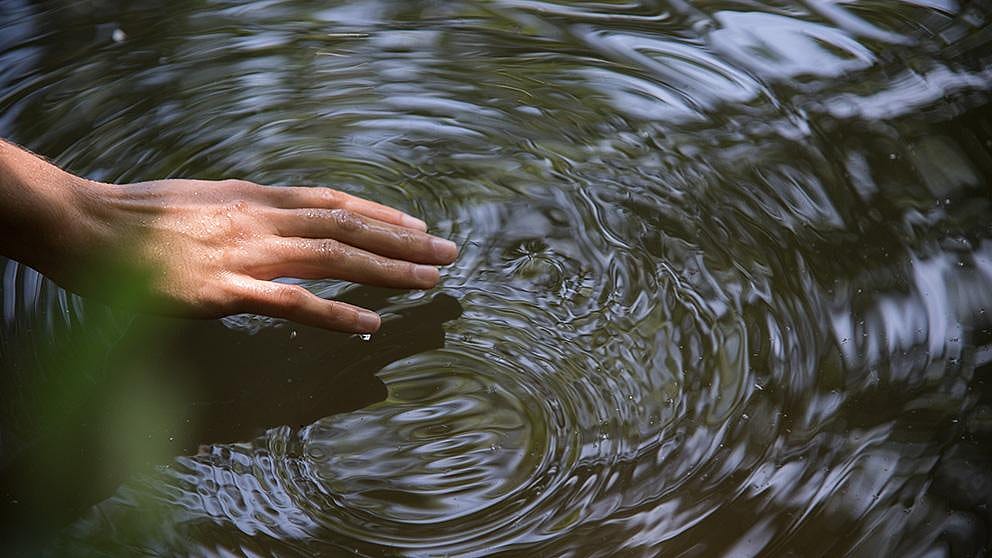 Hand touching water and creating a ripple.