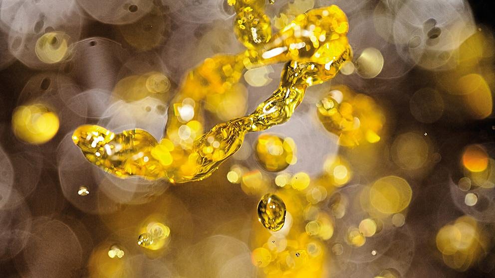 Oil