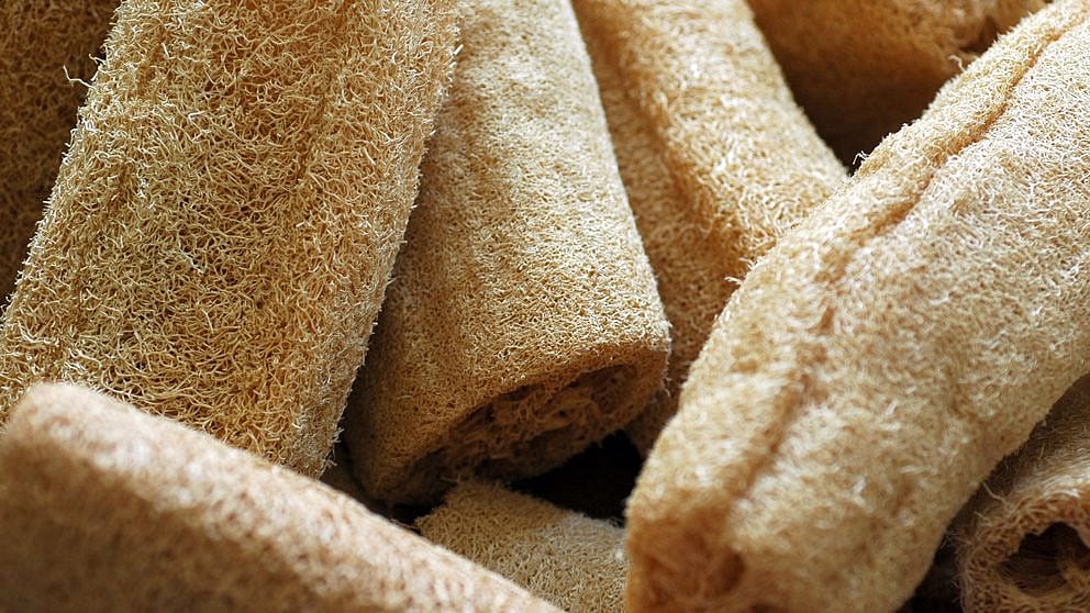 Loofahs