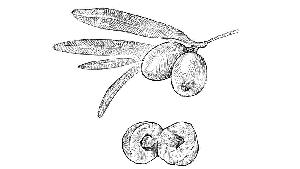 Sea Buckthorn berry